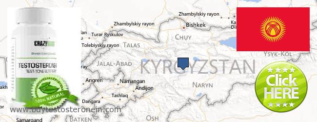 Πού να αγοράσετε Testosterone σε απευθείας σύνδεση Kyrgyzstan